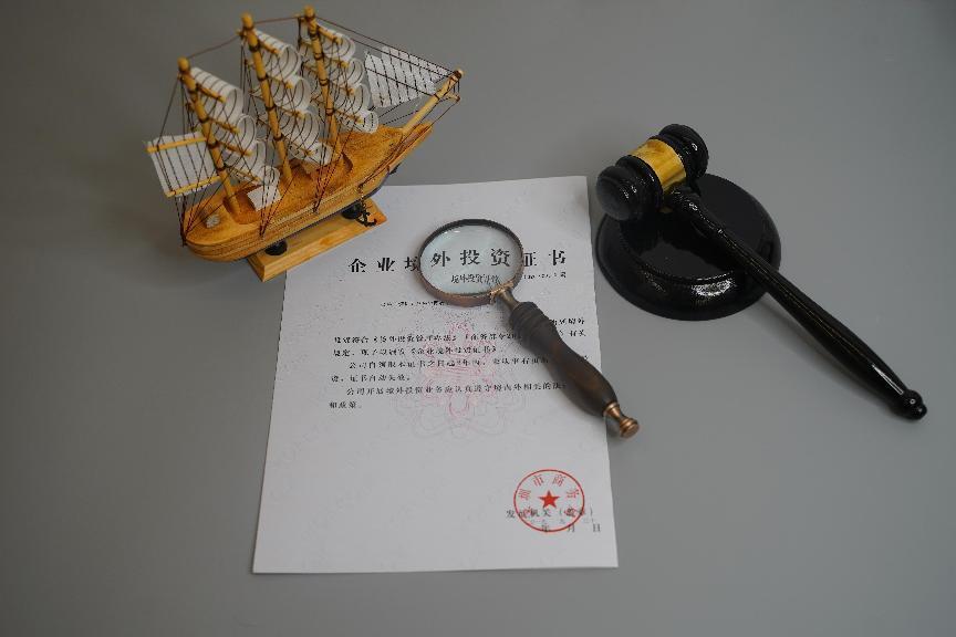 企业境外投资 企业境外投资