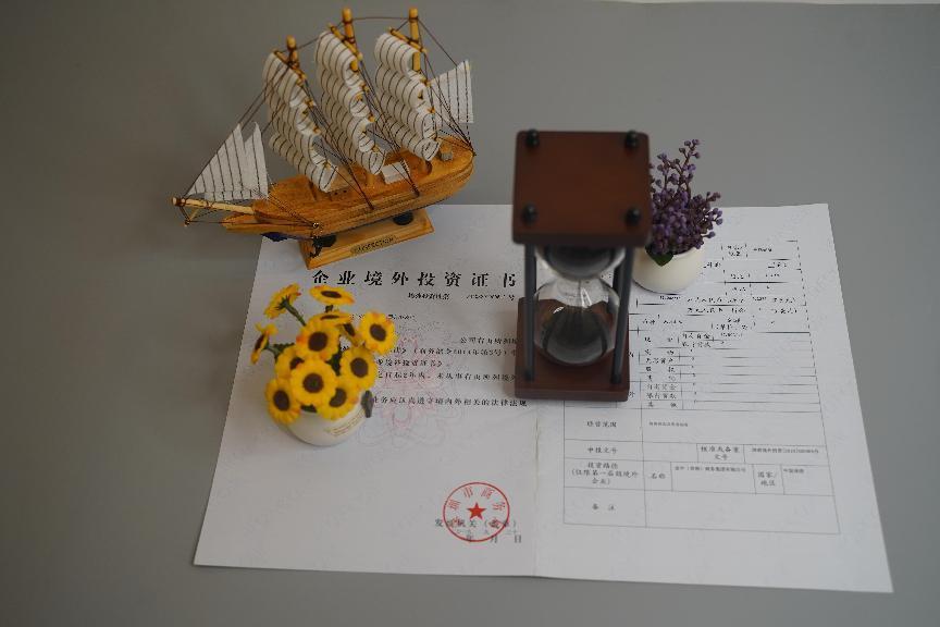 境外投资备案 境外投资备案